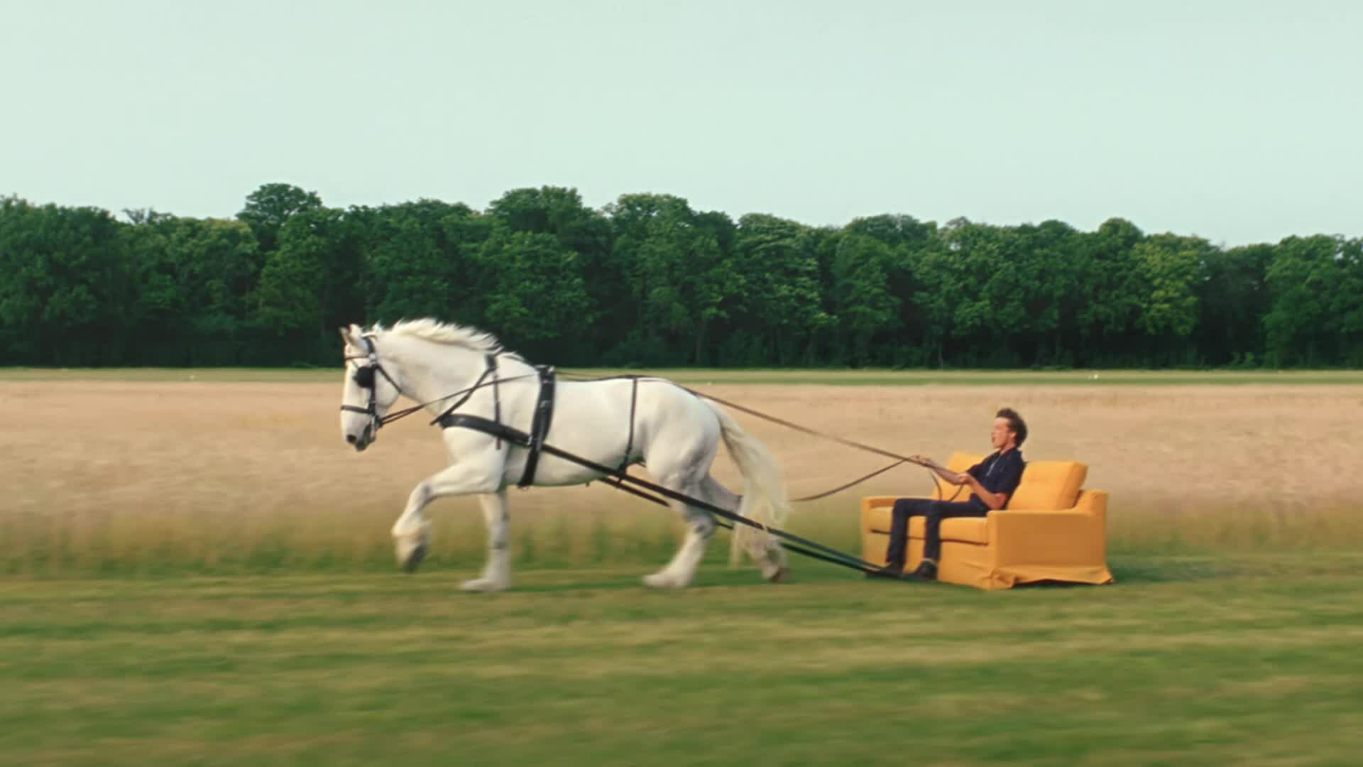 HERMES HORSE CART