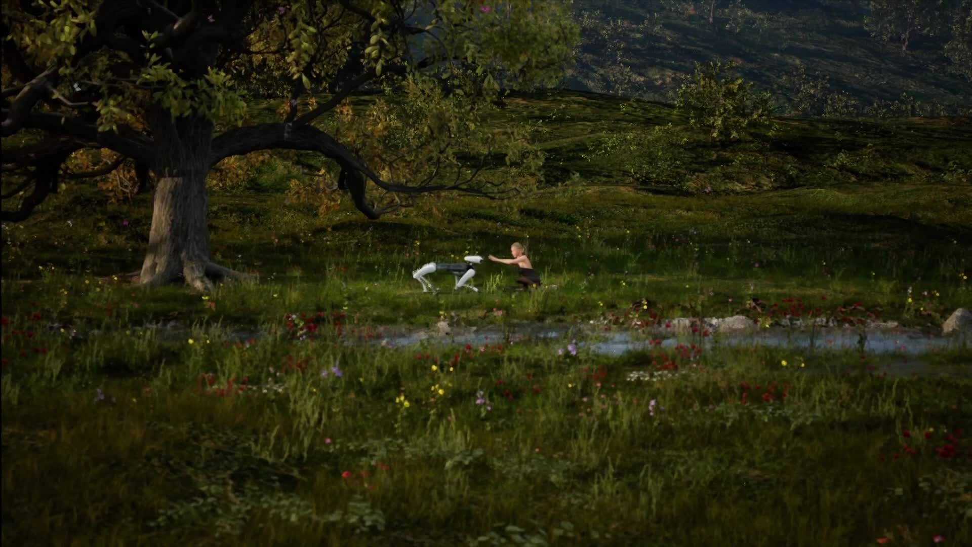 THE WOLF THE LAMB AND THE STREAM