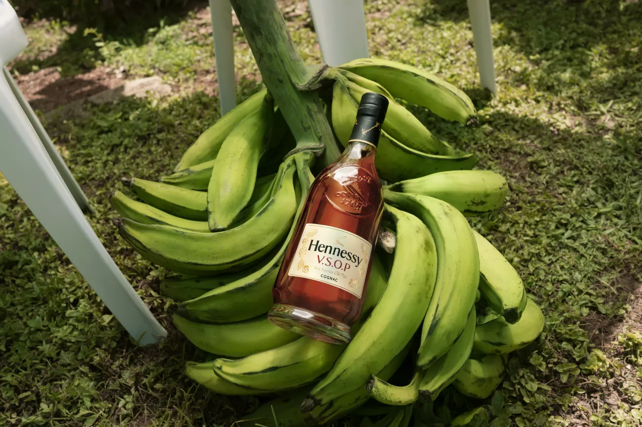 Hennessy Bad Bunny L1092291 R4 Hd